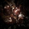 Cattle Decapitation_1