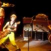 Stray Cats_1