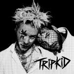 (c) Tripkid Tripkid
