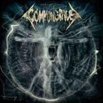Neus Album von COMMON GRAVE...