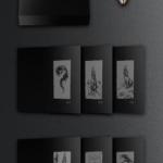 LP-Box von FALL OF EFRAFA...
