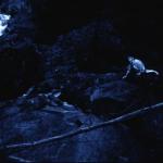 http://www.myspace.com/wolvesinthethroneroom WOLVES IN THE THRONE ROOM tour...