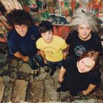 MELVINS: Morgen einzige Nordde...
