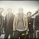 Teaser zum neuen TIMID TIGER-A...