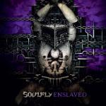 Augenfutter von SOULFLY...