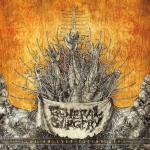 GENERAL SURGERY-EP im Stream...