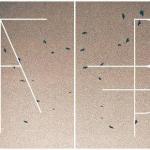 TOUCHÉ AMORÉ: neues Video fert...