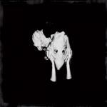 Sigur Ros Video, Cover und Tracklist von...