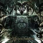 NEGATOR stellen neues Video on...