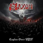 netinfect SAXON