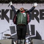 Skindred