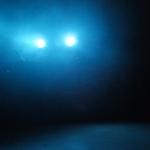 Fabian Zeitlinger Impression