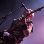 © Daniela Adelfinger Venom Inc