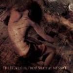 Cover - The Eleventh: Thou Shalt Be My Slave