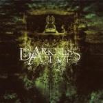 Cover - Darkness Ablaze