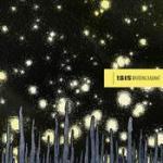 Cover - Wavering Radiant
