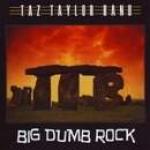 Big Dumb Rock       - Cover