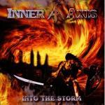 Cover - Into The Storm