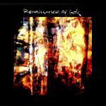 Cover - Renaissance Of Fools (Fear, Hope And Frustration)