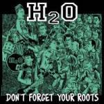 Cover - Don't Forget Your Roots