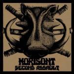 Cover - Second Assault