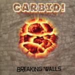 Breaking Walls - Cover