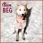 Cover - Cheesy Beg