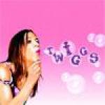 Twiggs - Cover