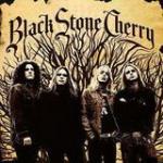 Black Stone Cherry - Cover