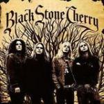 Cover - Black Stone Cherry