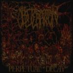 Perpetual Decay - Cover