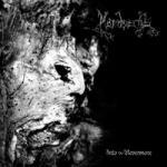 Cover - Into Nevermore