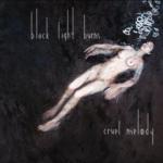 Cruel Melody - Cover