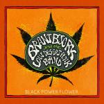 Cover - Black Power Flower