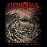 Cover - Into The Catacombs Of Flesh