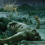 Cover - The Anthropocene Extinction