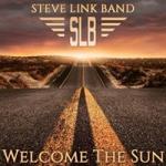 Steve Link Band