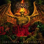Cover - Solitude In Madness