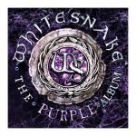 Cover - The Purple Album