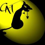 http://www.cat-ulm.de