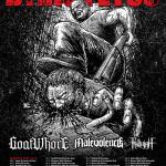 Dying Fetus
