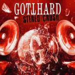 Another Dimension GOTTHARD