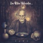 In The Woods