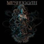 Meshuggah