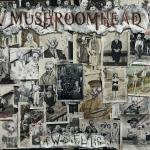 Cover Art: Gus Fink, Napalm Records Cover Mushroomhead