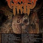 Power Trip