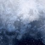 Wolves In The Throne Room